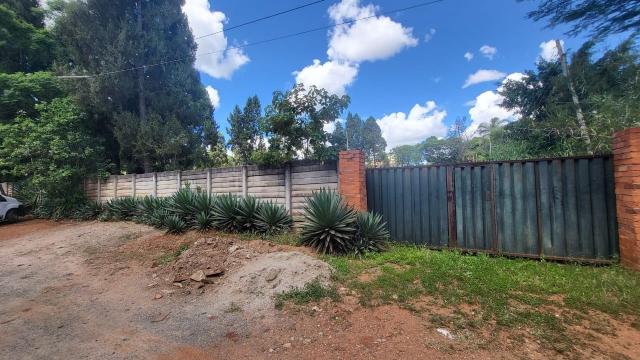 Stand for Sale in Avondale West