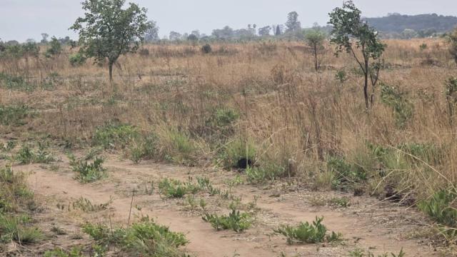 Stand for Sale in Whitecliff