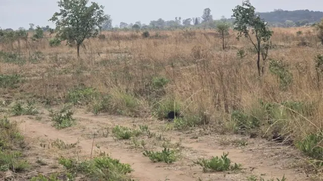 Commercial Stand for Sale in Whitecliff