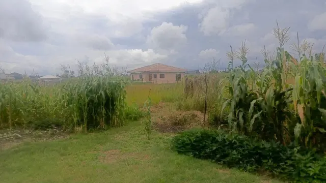 Residential Stand for Sale