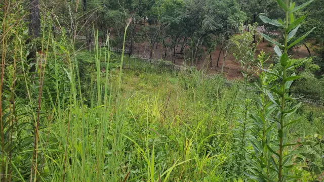 Residential Stand for Sale