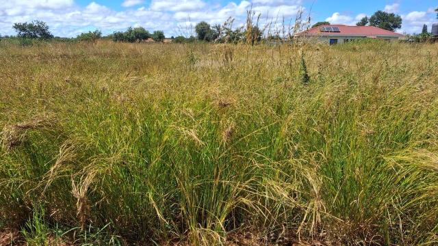 Stand for Sale in Gweru CBD