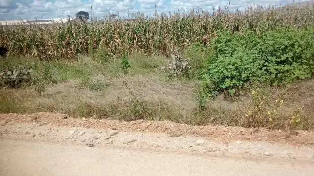 Residential Stand for Sale