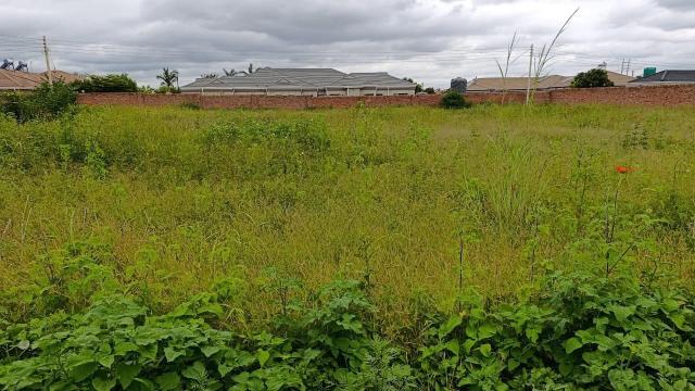 Stand for Sale in Mount Pleasant