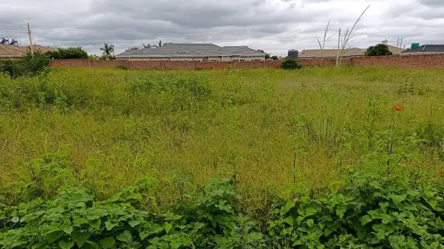 Residential Stand for Sale in Mount Pleasant