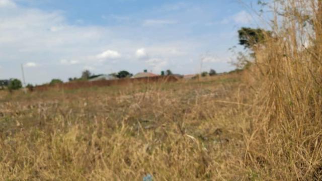 Stand for Sale in Manresa