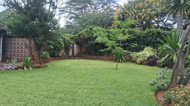 Cottage/Garden Flat to Rent in Avondale