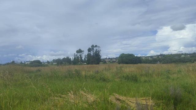 Stand for Sale in Ruwa