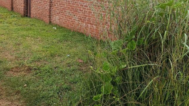 Stand for Sale in Mount Pleasant Heights