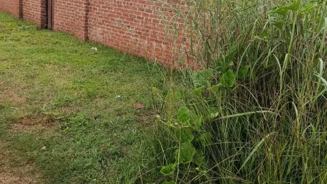 Residential Stand for Sale