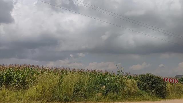 Stand for Sale in Ruwa