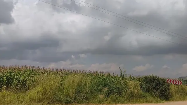 Industrial Stand for Sale in Ruwa