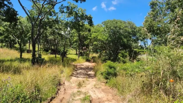 Residential Stand for Sale