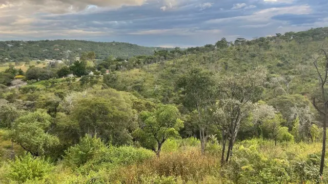 Residential Stand for Sale in Helensvale