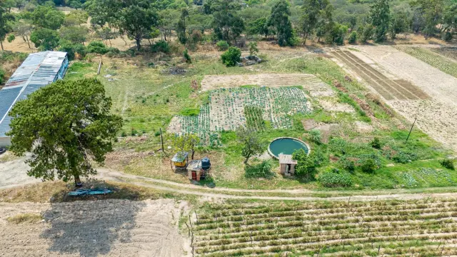 Farm/Plot for Sale