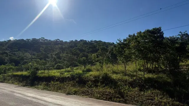 Residential Stand for Sale