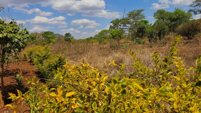 Residential Stand for Sale inKwekwe