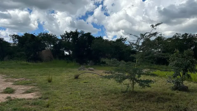 Industrial Stand for Sale