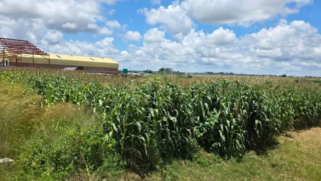 Industrial Stand for Sale