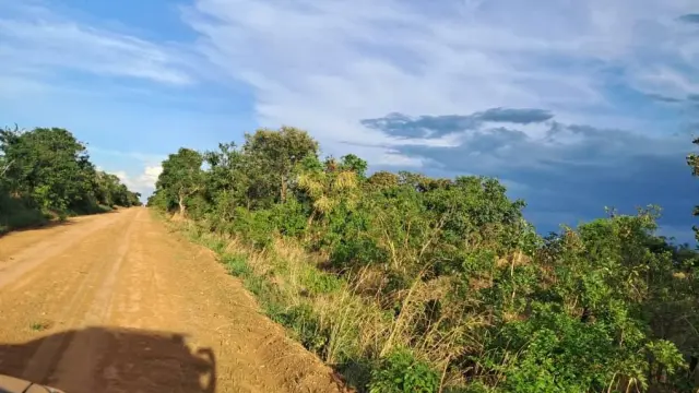 Farm/Plot for Sale inBindura