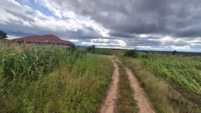 Residential Stand for Sale