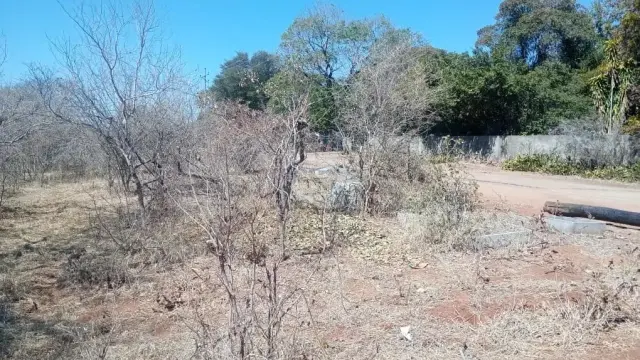 Residential Stand for Sale