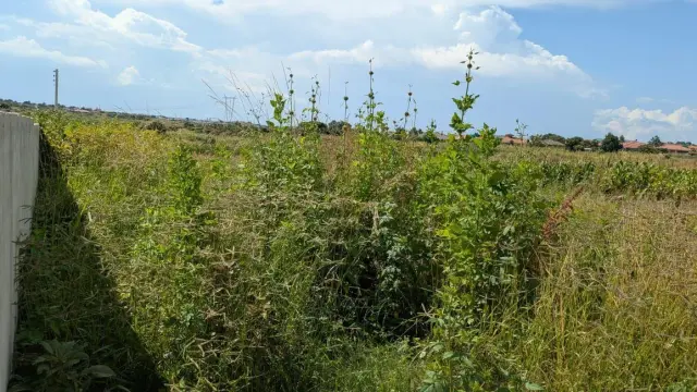 Residential Stand for Sale