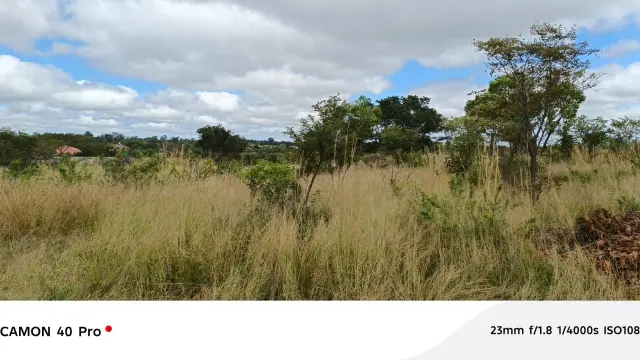 Residential Stand for Sale