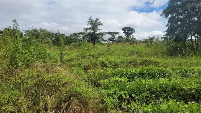 Residential Stand for Sale