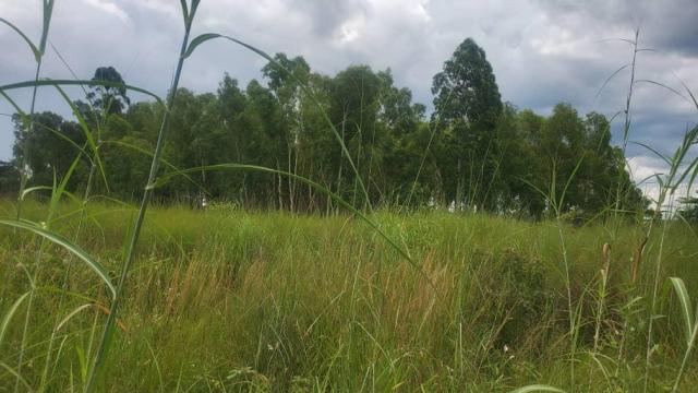 Stand for Sale in Mwashuma Park