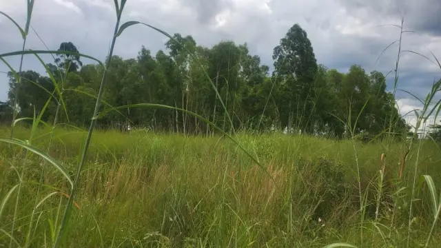 Residential Stand for Sale