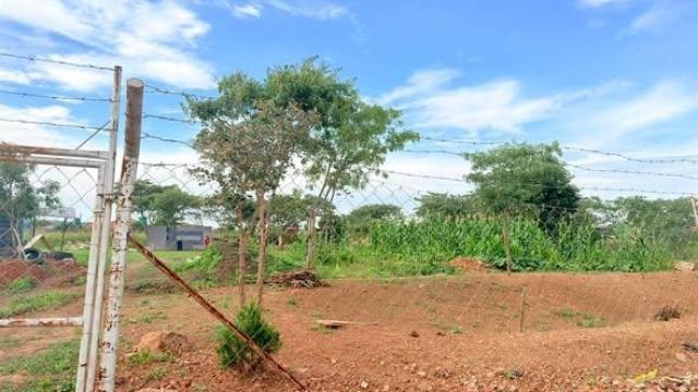 Stand for Sale in Galloway