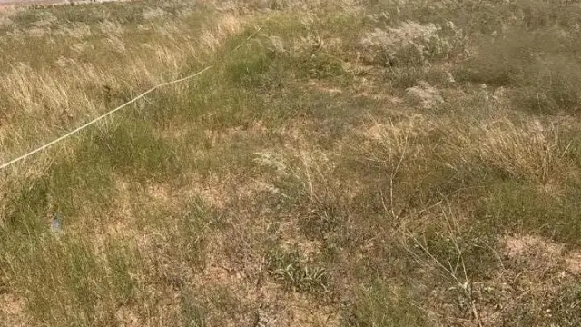 Residential Stand for Sale inNorton