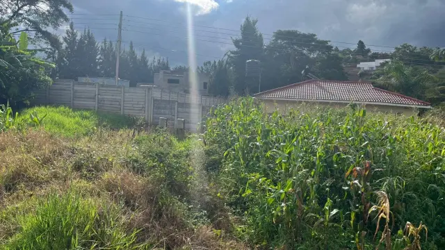 Residential Stand for Sale