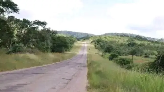 Farm/Plot for Sale inKwekwe