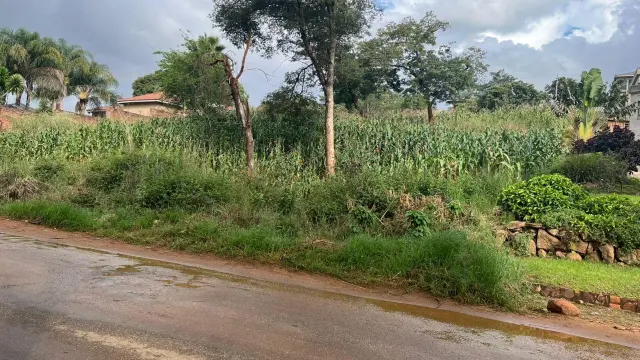 Residential Stand for Sale