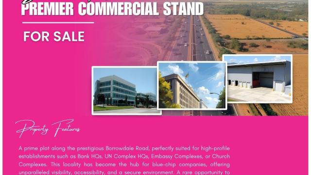 Stand for Sale in Borrowdale