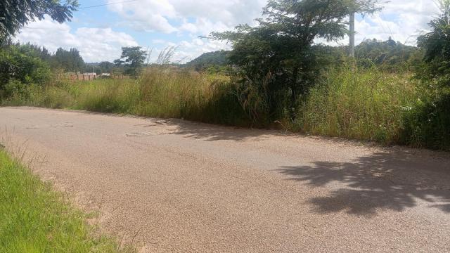 Stand for Sale in Gletwin Park