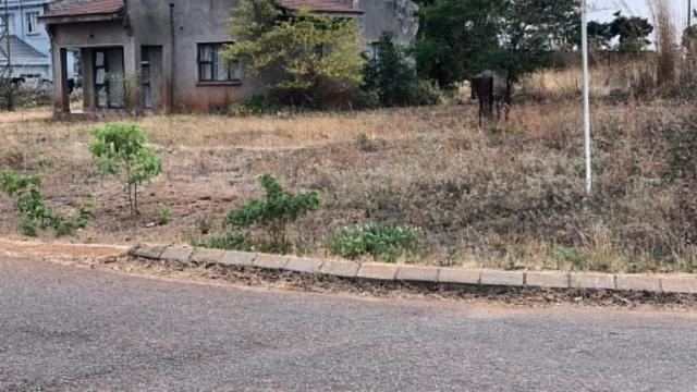 Stand for Sale in Hogerty Hill