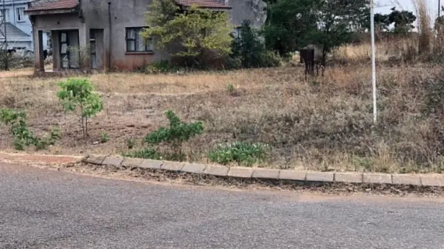 Residential Stand for Sale inHogerty Hill