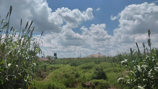 Residential Stand for Sale inSandton Park