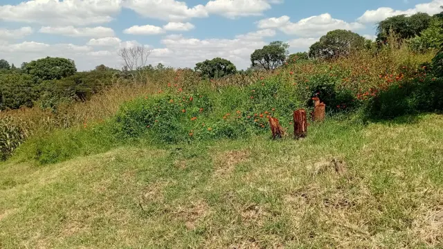 Residential Stand for Sale inBorrowdale Brooke