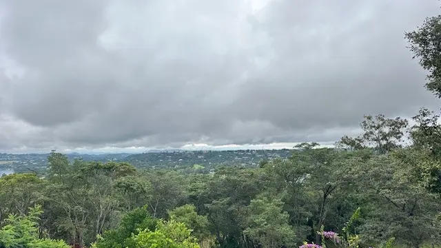 1 Bedroom Cottage/Garden Flat to Rent in Helensvale