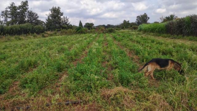 Stand for Sale in Waterford
