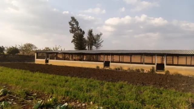 Farm/Plot for Sale inNorton