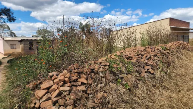 Commercial Stand for Sale inDema