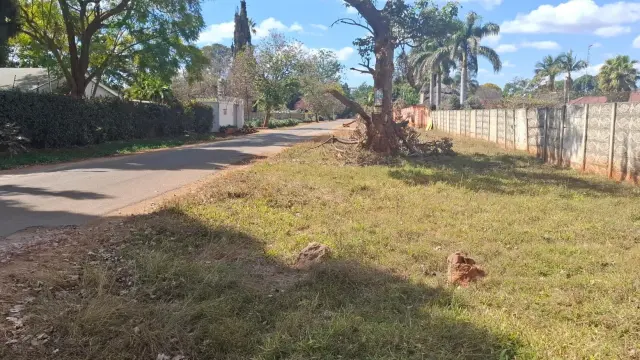 Residential Stand for Sale