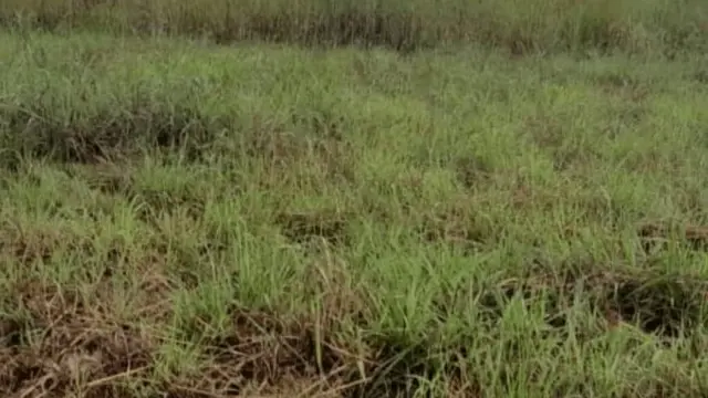 Residential Stand for Sale inNorton