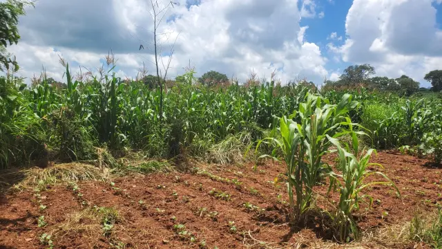 Industrial Stand for Sale inChinhoyi