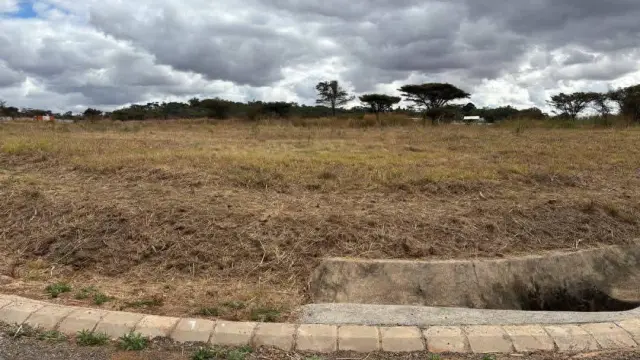 Residential Stand for Sale inBorrowdale